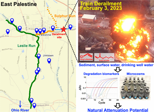 Nature News and Views Cover