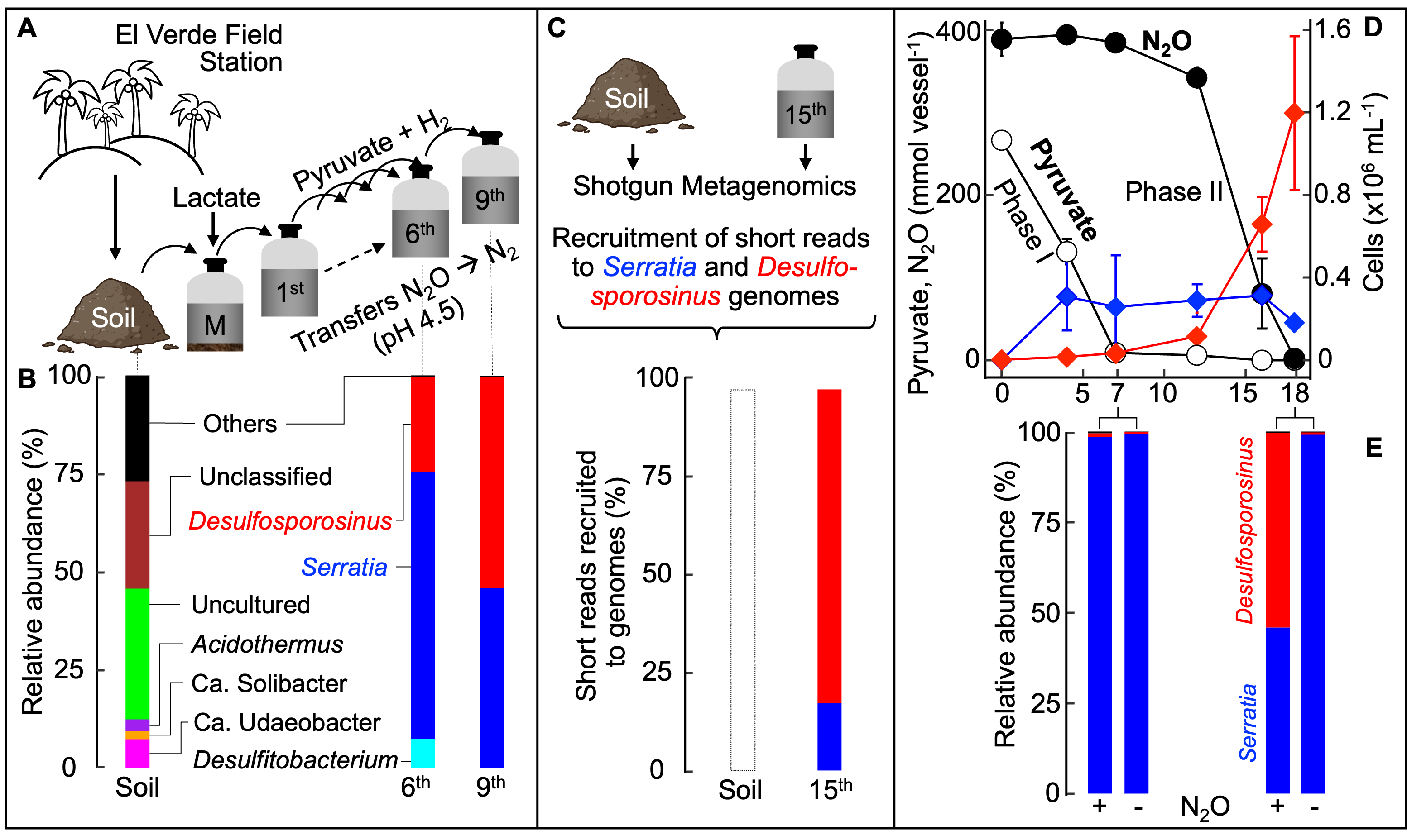 Nature Communications Cover