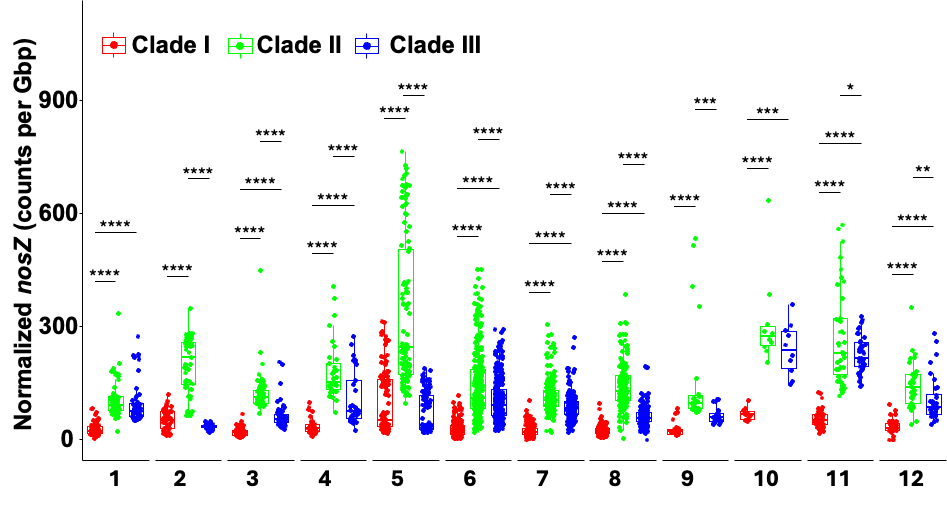 Nature Communications Cover