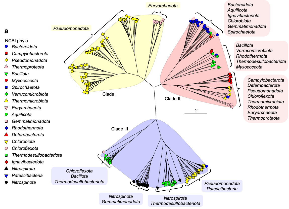 Nature Communications Cover