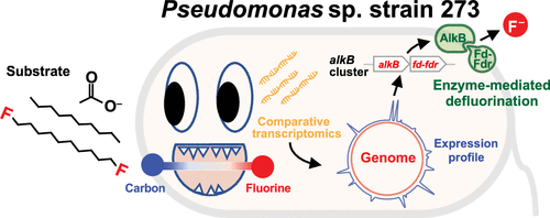 Nature News and Views Cover